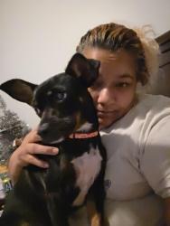 Lost Female Dog last seen Osceola Pkwy And OBT, Kissimmee, FL 34744