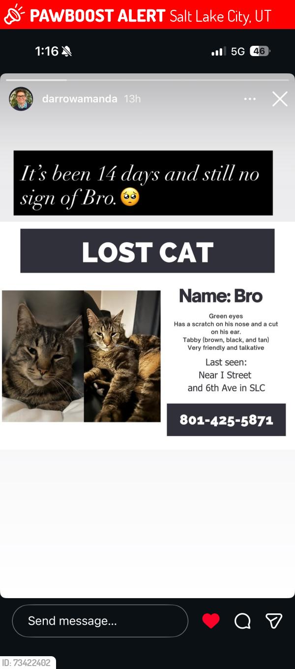 Lost Male Cat last seen On porch, Salt Lake City, UT 84103