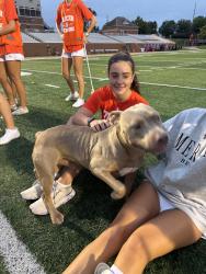 Found/Stray Male Dog last seen Mercer university, Macon, GA 31207