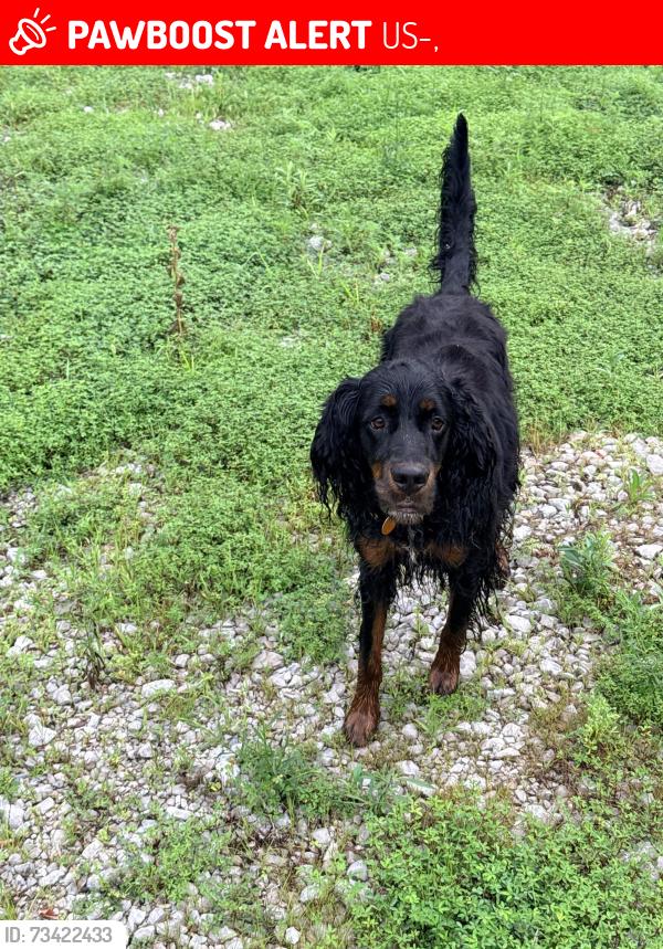 Lost Male Dog last seen Radio tower US 40 west Terre Haute Indiana, US-40,  65274