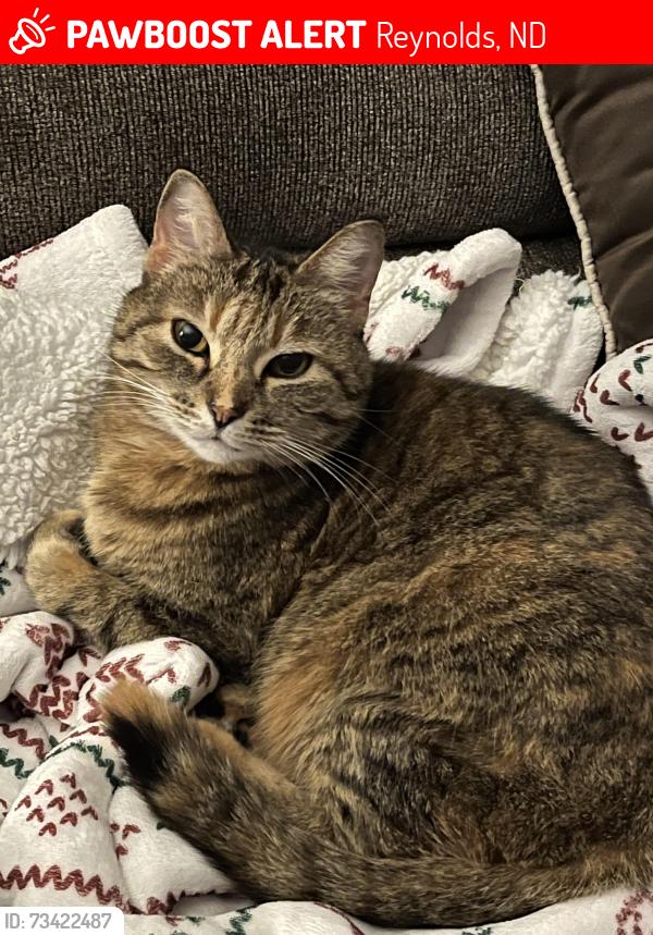 Lost Female Cat last seen West of Reynolds, Reynolds, ND 58275