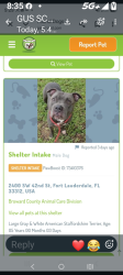 Lost Male Dog last seen You guys have my dog, Fort Lauderdale, FL 33301