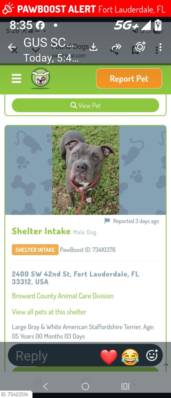 Lost Male Dog last seen You guys have my dog, Fort Lauderdale, FL 33301