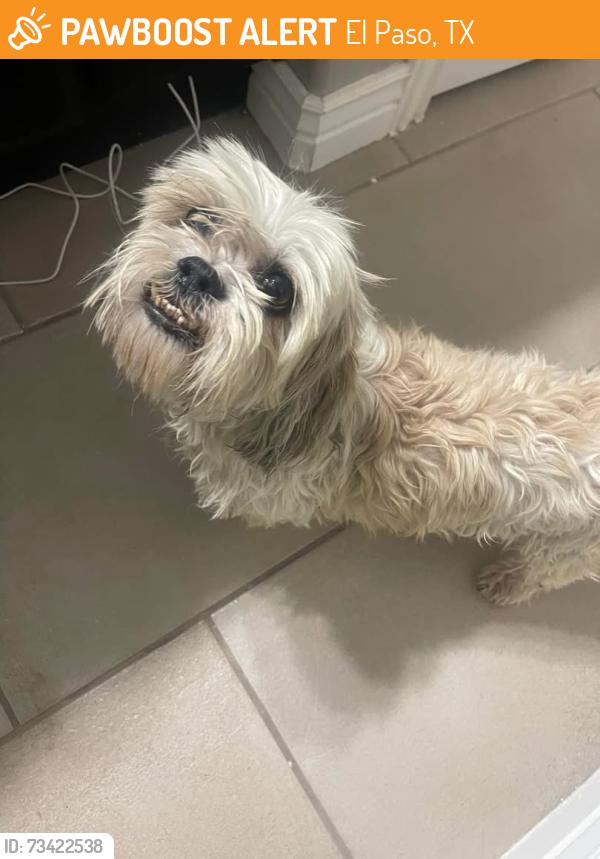 Found/Stray Male Dog last seen Bob Hope, El Paso, TX 79928