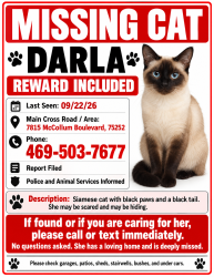 Lost Female Cat last seen Near McCallum blvd 75252, Dallas, TX 75252