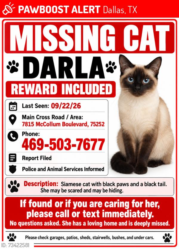 Lost Female Cat last seen Near McCallum blvd 75252, Dallas, TX 75252