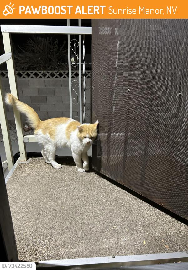 Found/Stray Male Cat last seen Cabana/Twain, Sunrise Manor, NV 89122