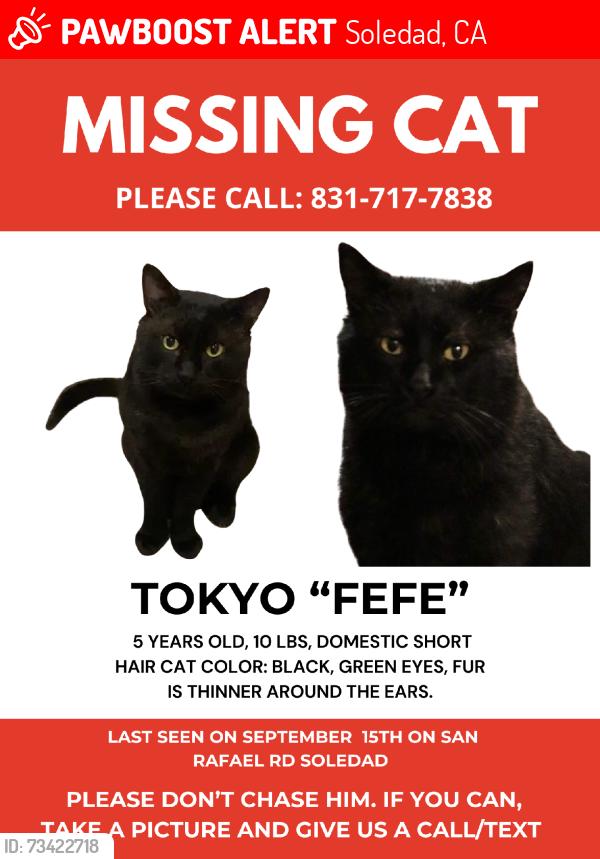 Lost Male Cat last seen n/a, Soledad, CA 93960