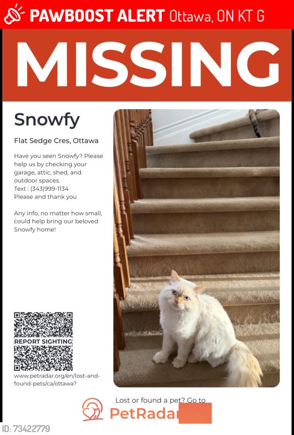 Lost Male Cat last seen Finally creek, Ottawa, ON K1T 0G2