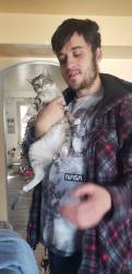 Lost Male Cat last seen Bonica Lane, Herriman, UT 84096