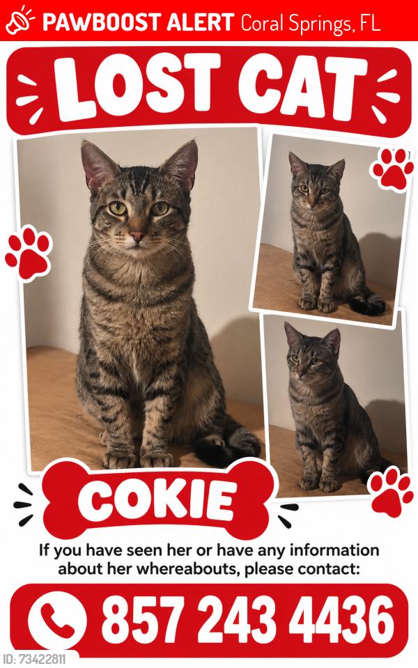 Lost Male Cat last seen Near royal palm blv, Coral Springs, FL 33065