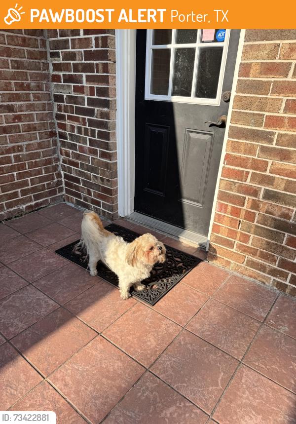 Found/Stray Male Dog last seen Kelly Road and Loop 494, Porter, TX 77365