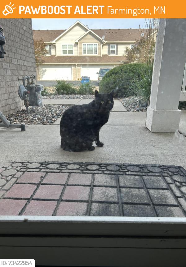 Found/Stray Unknown Cat last seen My hse?, Farmington, MN 55024
