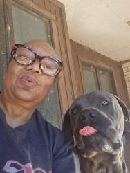 Lost Male Dog last seen Near state highway 7 marlin tx 76661, Marlin, TX 76661