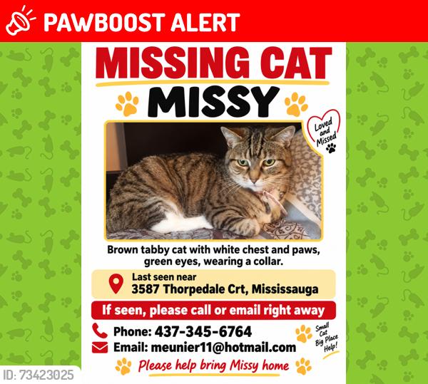 Lost Female Cat last seen Thorpedale Court/Grosvenor Place, Mississauga, ON L5L 3V6