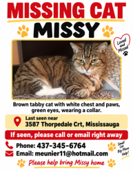 Lost Female Cat last seen Thorpedale Court/Grosvenor Place, Mississauga, ON L5L 3V6