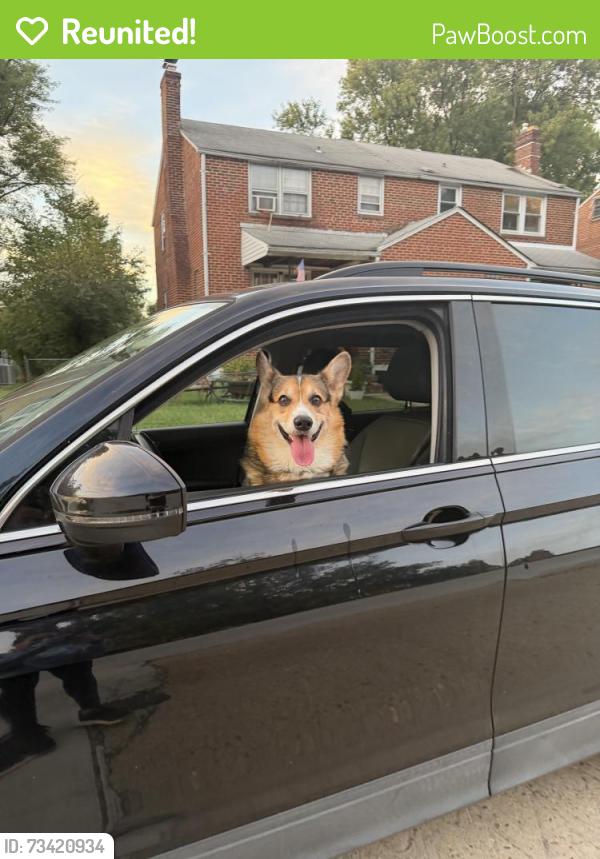Reunited Male Dog last seen Halcyon, Baltimore, MD 21214