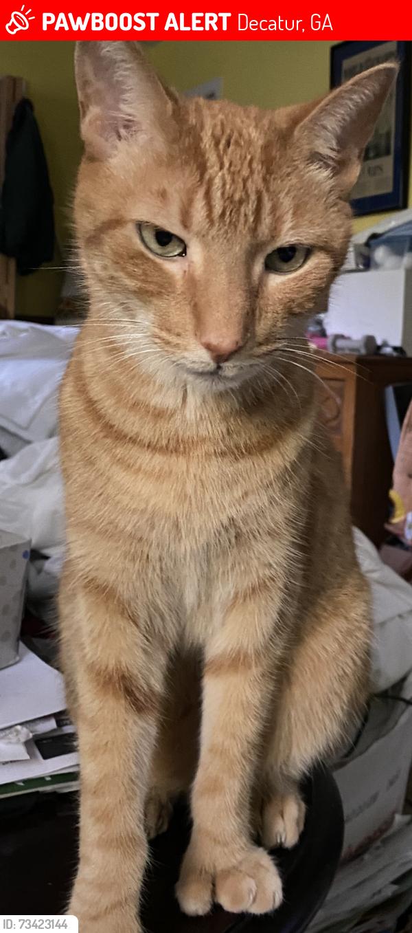 Lost Male Cat last seen Pangborn Pool, Decatur, GA 30033