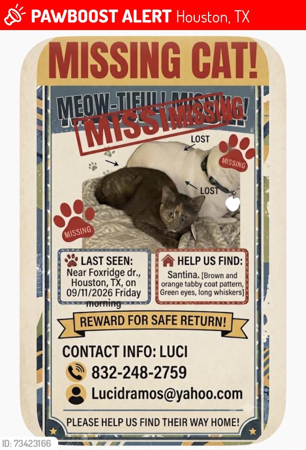 Lost Female Cat last seen Hopper rd, Houston, TX 77037