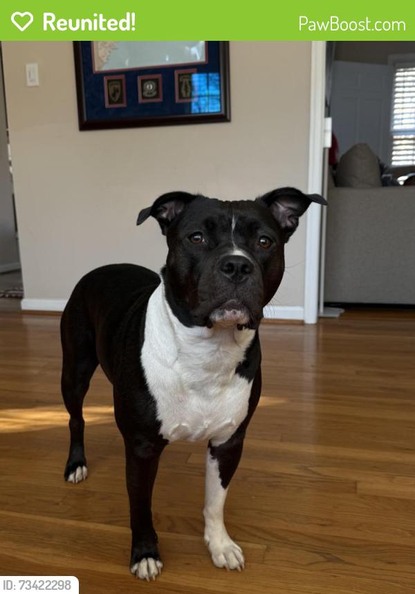 Reunited Female Dog last seen Beaumont, Silver Spring, MD 20904