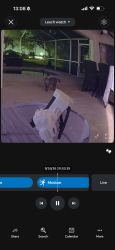 Found/Stray Unknown Cat last seen NW 22nd Avenue Cape Coral, Fl, Cape Coral, FL 33993