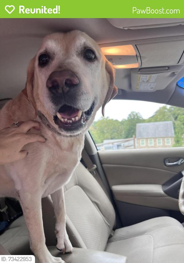 Reunited Male Dog last seen Woodside Creamery, North Star, DE 19711