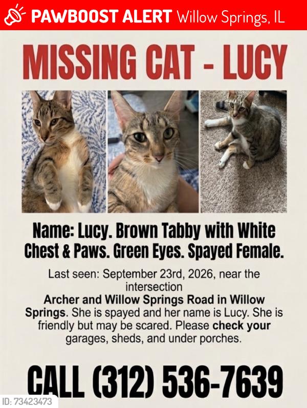 Lost Female Cat last seen Archer Ave and Willow Springs Rd, Willow Springs, IL 60480