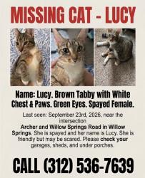 Lost Female Cat last seen Archer Ave and Willow Springs Rd, Willow Springs, IL 60480