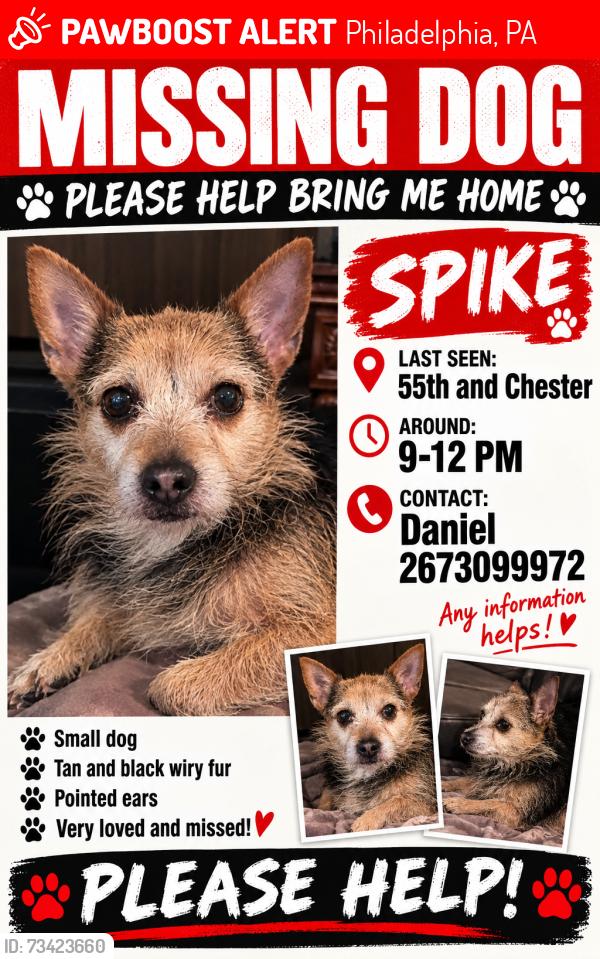 Lost Male Dog last seen Chester Ave, Philadelphia, PA 19143