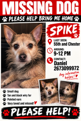 Lost Male Dog last seen Chester Ave, Philadelphia, PA 19143