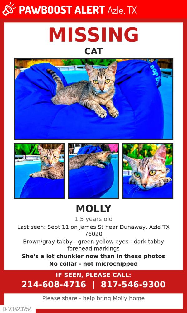 Lost Female Cat last seen Dunaway lane, Azle, TX 76020
