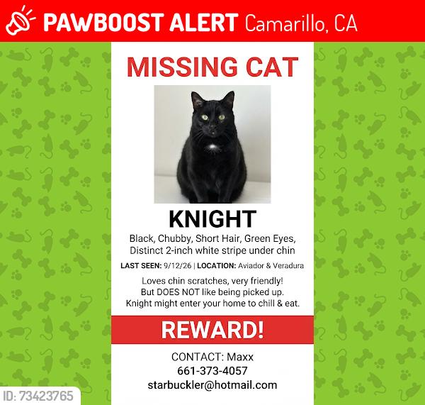 Lost Male Cat last seen North aviador & west Ventura, Camarillo, CA 93010