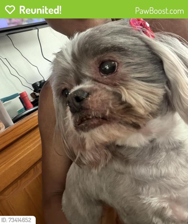 Reunited Female Dog last seen Deer creek loop, Ontario, CA 91761