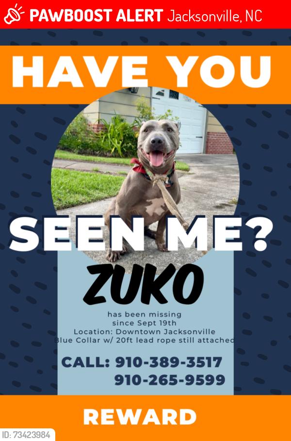 Lost Male Dog last seen Downtown jacksonville, Jacksonville, NC 28540