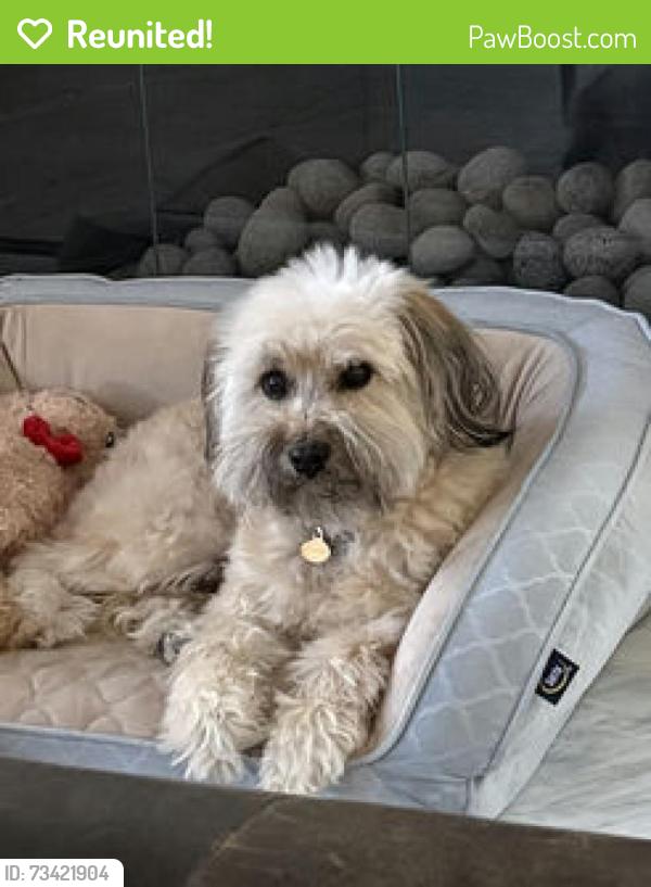 Reunited Male Dog last seen Via Teca and Via Palmito, San Clemente, CA 92673