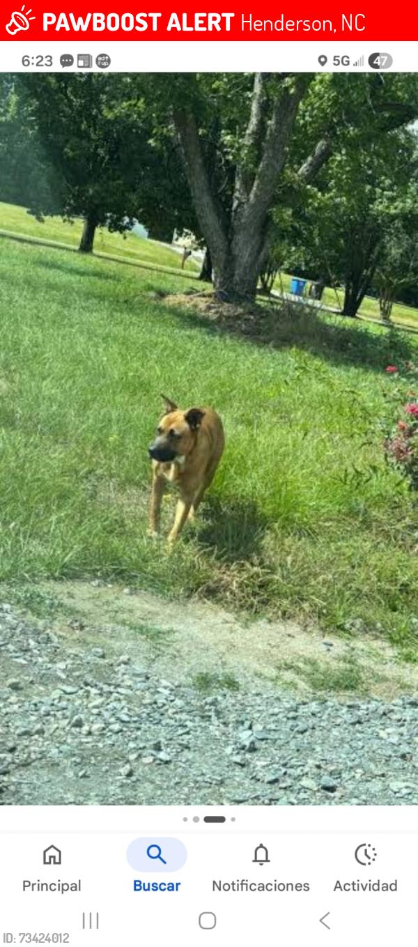 Lost Male Dog last seen Sunny point ln, Mecklenburg County, VA 23917