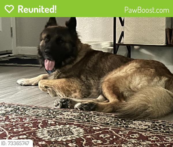 Reunited Male Dog last seen Nile, Corpus Christi, TX 78412