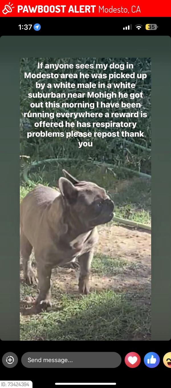 Lost Male Dog last seen Modesto highschool, Modesto, CA 95354