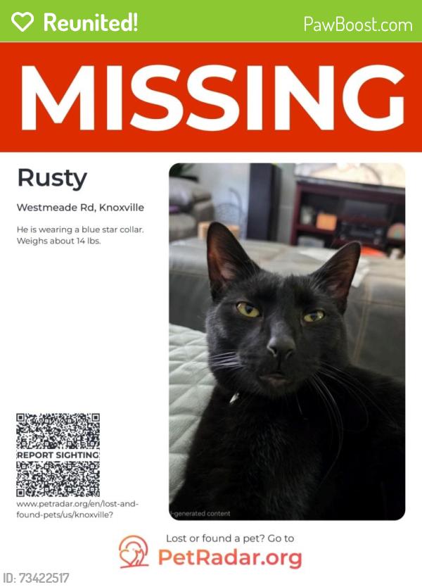 Reunited Male Cat last seen Westmeade Rd @ Hunters Glen Rd, Knoxville, TN 37921