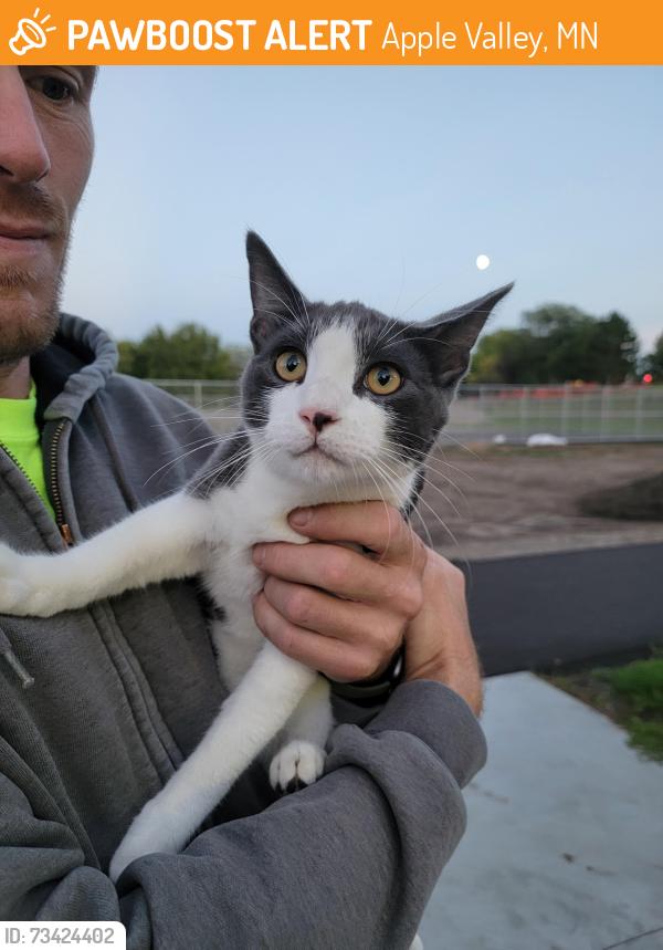 Found/Stray Male Cat last seen 147th St W, Apple Valley, Delaney Park, Apple Valley, MN 55124