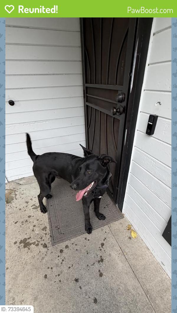 Reunited Male Dog last seen East Hill, San Jose, CA 95127