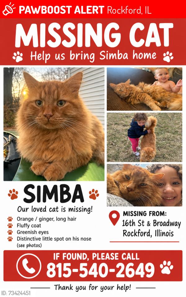 Lost Male Cat last seen 16th street, Rockford, IL 61104