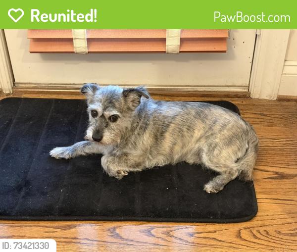 Reunited Male Dog last seen Running up Vale View Drive toward Meadow Drive, Warrenton, VA 20186