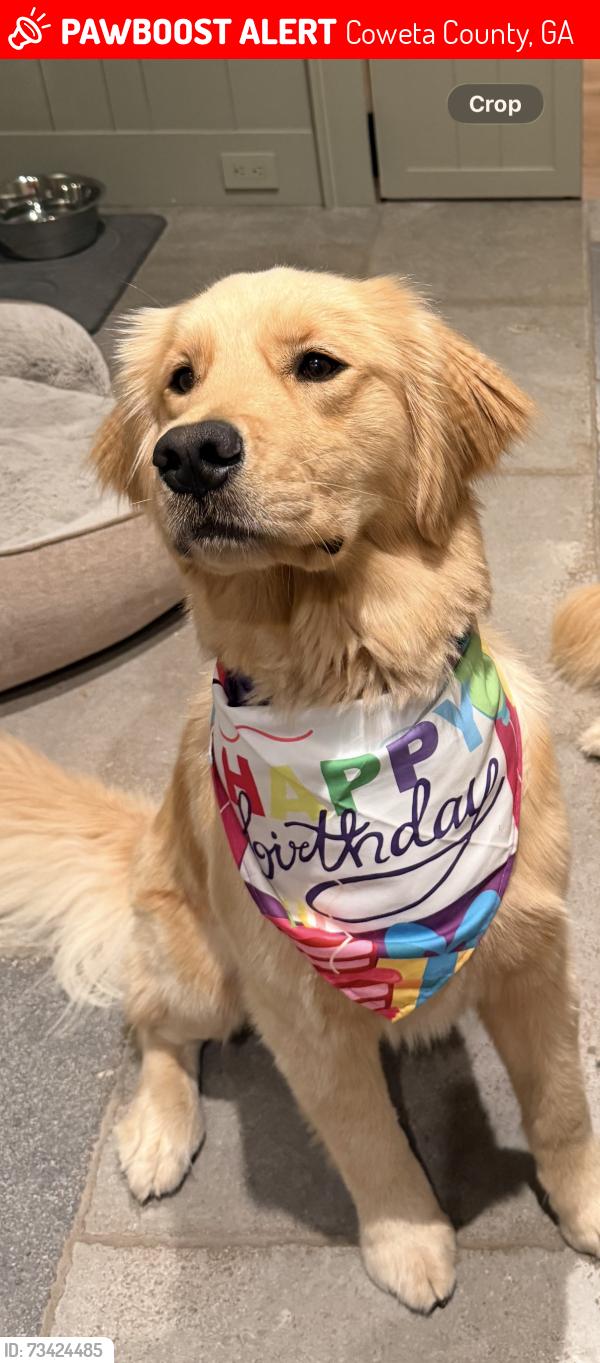 Lost Male Dog last seen Welcome Road and Summer’s McCoy, Coweta County, GA 30263