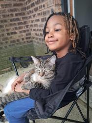 Lost Male Cat last seen Jeffery ave, Sauk Village, IL 60411
