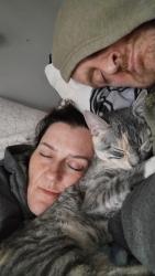 Lost Female Cat last seen Sussex and 9th Ave, Newark, NJ 07107