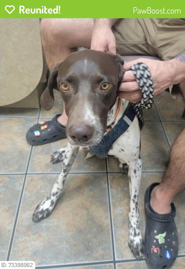 Reunited Male Dog last seen Hwy 85, Buckeye, AZ 85326