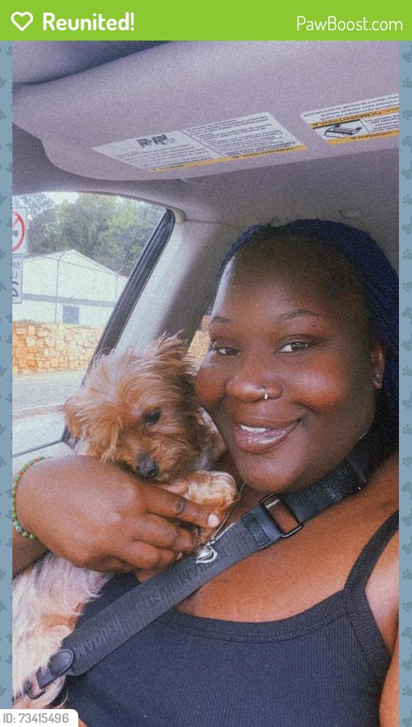 Reunited Female Dog last seen Johnson road nw, Atlanta, GA 30318