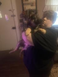 Lost Male Dog last seen Near Chisholm rd ramseur nc, Ramseur, NC 27316