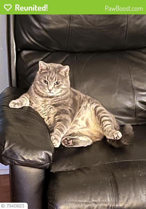 Reunited Male Cat last seen Near Goff Rd, Daniels Run Rd, Floyd County, VA 24072